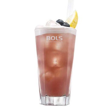 Sloe Gin Fizz