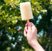 Footer - Recipe - Gin & Tonic Sorbet with Lemon and Thyme